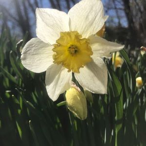 Meet your Posher, Lexi